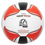 Ballon de Volleyball Aktive PVC (24 Unités)