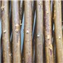 Treillis extensible - NATURE - En osier FSC naturel - 90 x 180 cm