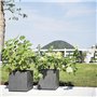 Pot de fleur Cube - DEROMA - Millennium R - Anthracite - A réserve d'eau-  39 cm