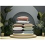 Taie d'oreiller Happy Home Lin 45 x 85 cm 2 Unités