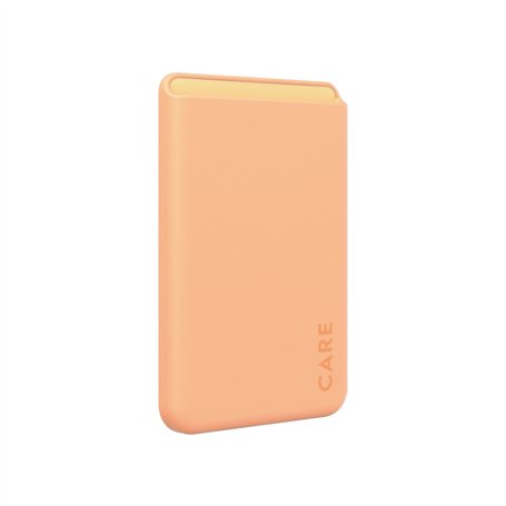 Protection pour téléphone portable Panzer Glass 1446 Transparent Apple