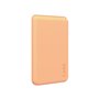 Protection pour téléphone portable Panzer Glass 1446 Transparent Apple