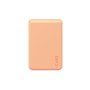 Protection pour téléphone portable Panzer Glass 1446 Transparent Apple
