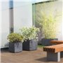 Pot de fleur Cube - DEROMA - Millennium R - Anthracite - A réserve d'eau - Roulettes - 49 cm