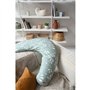 Coussin Big Flopsy - BEABA - 915062 - Jersey de coton imprimé Nature