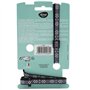 Kit collier & Laisse - AIMÉ - Reflechissant Violet pour Chat
