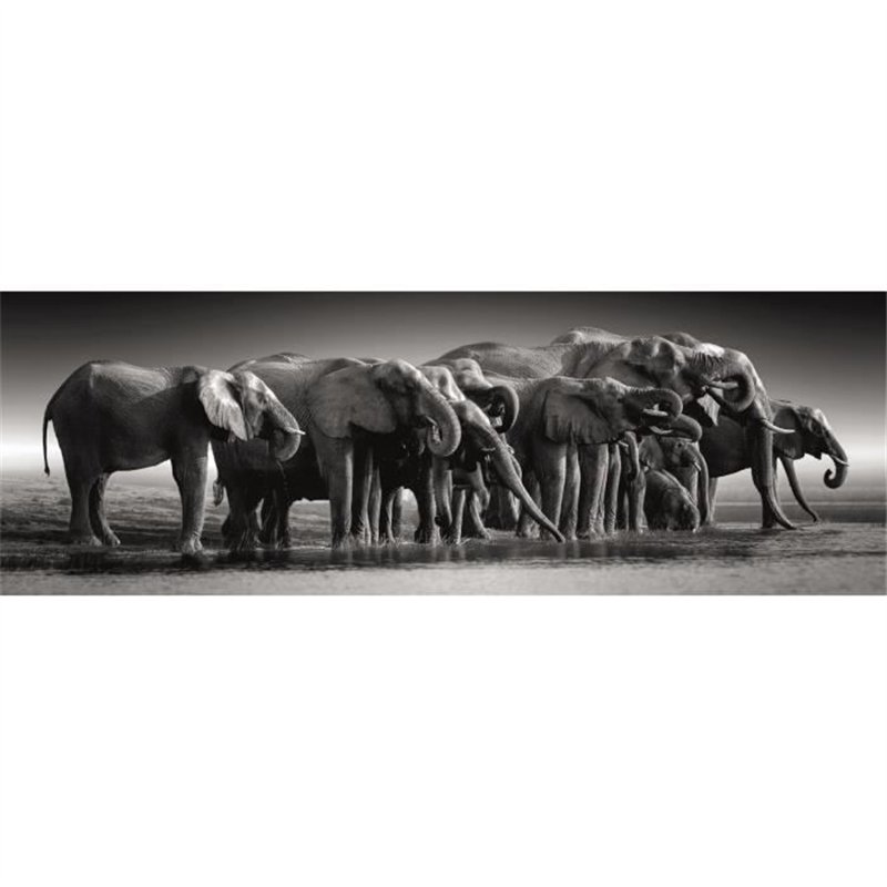 Image secondaire de CLEMENTONI - Compact 1000 pieces Panorama - Herd of Giants