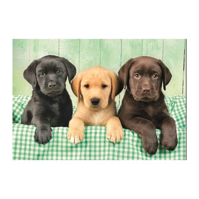Image secondaire de CLEMENTONI - Compact 1000 pieces - Three Labs