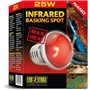Ampoule chauffante pour terrarium - EXO TERRA - Basking Spot Nano - Chaleur infrarouge - 25W