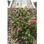 Treillis extensible - NATURE - En bambou - 70 x 180 cm