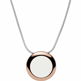 Collier Femme Skagen SKJ1335998 46 cm