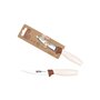 Eplucheur Quttin Terra Marron Argenté Acier inoxydable 9 cm (48 Unités)