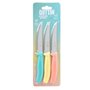 Couteau de cuisine Quttin Basic 11 cm 3 Pièces (18 Unités)