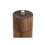 Pot de poivre Home ESPRIT Naturel Aluminium Acacia 6 x 6 x 21,5 cm