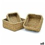 Lot de paniers Gift Decor 41846 Algues marines