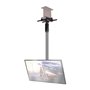 Support de table d'écran B-Tech BT7017/B