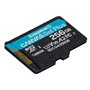 Carte Mémoire Micro SD avec Adaptateur Kingston SDCG4/256GB 256 GB