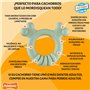 Jouet pour chien Nylabone SENSORY TACTILE RING Vert Beurre de cacahuètes Poulet S