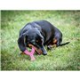 Jouet pour chien Nylabone WISHBONE Rose Poulet XS