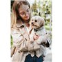Harnais pour Chien Hunter DIVO UP Beige L