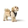 Harnais pour Chien Hunter DIVO UP Noir L/XL