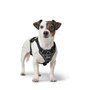 Harnais pour Chien Hunter DIVO UP Noir L/XL