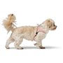 Harnais pour Chien Hunter SOHO MINI Rose XXS/XS