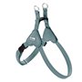 Harnais pour Chien Hunter SOHO MINI Bleu XS/S