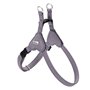 Harnais pour Chien Hunter SOHO MINI Lila XS/S