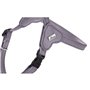 Harnais pour Chien Hunter SOHO MINI Lila XS/S