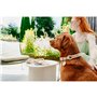 Laisse pour Chien Hunter MALIA Beige 1 x 200 cm