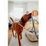Laisse pour Chien Hunter MALIA Bleu 1 x 200 cm