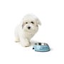 Mangeoire pour chiens Hunter Mayfair Bleu 350 ml