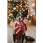 Jouet pour chien Hunter Birka Marron Cerf