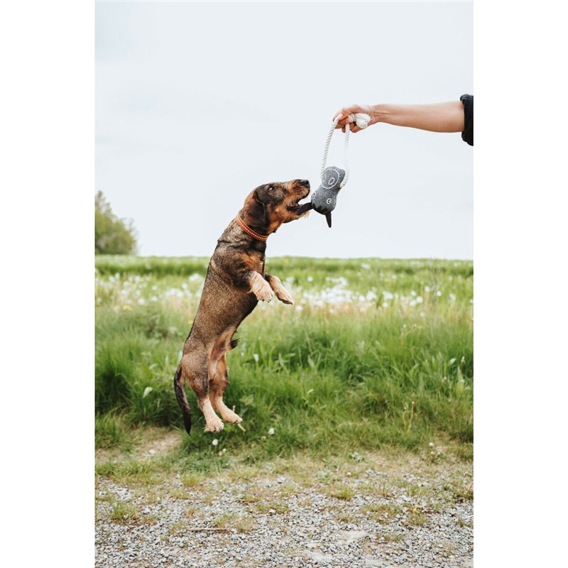 Image secondaire de Jouet pour chien Hunter NEBRASKA Beige