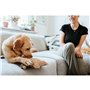 Jouet pour chien Hunter Tough Tundra Beige Raton laveur