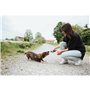 Jouet pour chien Hunter Nebraska Marron Vache