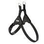 Harnais pour Chien Hunter SOHO MINI Noir XXS/XS