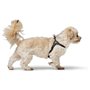 Harnais pour Chien Hunter SOHO MINI Noir XXS/XS