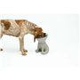 Mangeoire pour chiens United Pets Up Elisabeth Gris Acier inoxydable Polyéthylène 1 L