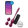Exerciseur pelvien de sol Satisfyer Silicone ABS