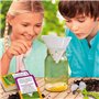 Découverte des insectes - Kit Scientifique - I'M A GENIUS POCKET