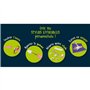 Laboratoire de stylos effaçables - Kit Scientifique - I'M A GENIUS - Stylos a personnaliser, Expériences d'encre