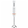 Mixeur plongeant Flama 2032FL Acier