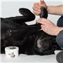 Cire Pawz MAXWAX 60 g