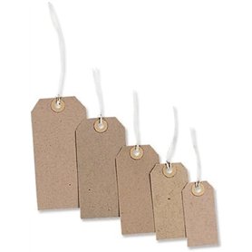 Merit Strung Tag 108x54mm Buff Ref TG8073 Lot de 1000