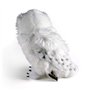 The Noble Collection Harry Potter: Peluche Hedwige