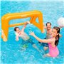 Intex cage de water polo