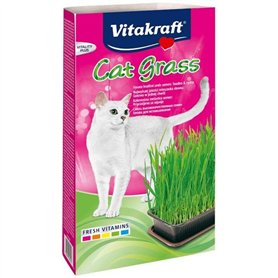 Cat Grass, 120g, Cat