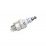 Bosch WS9EC (610) - Bougie d'Allumage pour Outils de Jardin - 1 Pièce